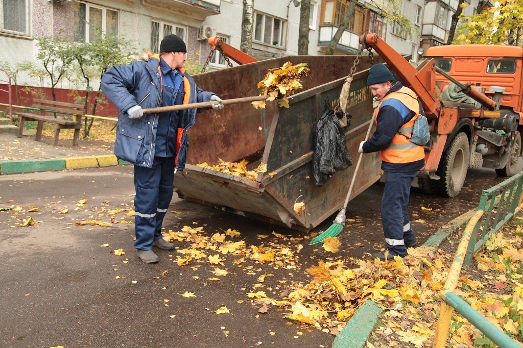 Вывоз опавшей листвы и растительного мусора в Уфе от ПроМусор – цена от 4624 руб., быстрая уборка и утилизация